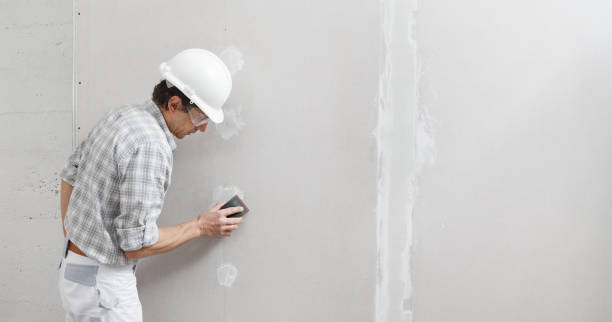 Best Mold Remediation for Healthcare Facilities  in Roanoke Rapids, NC