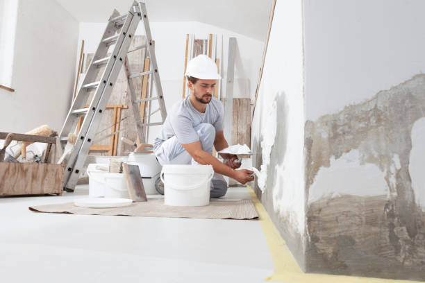 Reliable Roanoke Rapids, NC Mold Removal Solutions