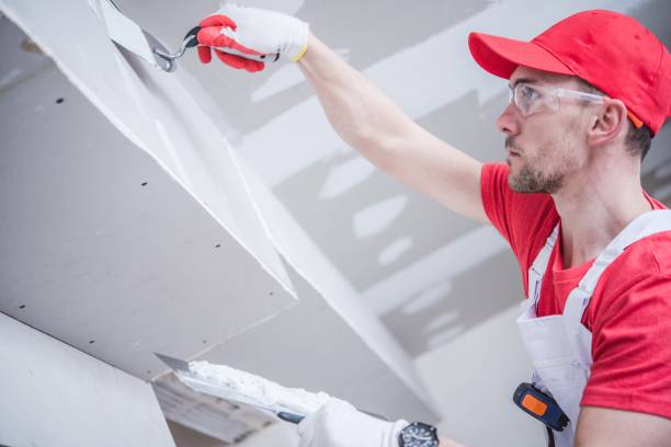 Asbestos and Lead Testing During Mold Inspection in Roanoke Rapids, NC